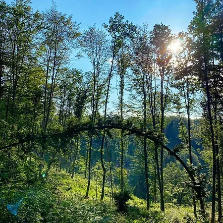& Domacija Krnc Gostinjska kuća Hrib pri Hinjah