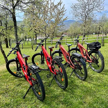 & Domacija Krnc Gostinjska kuća Hrib pri Hinjah