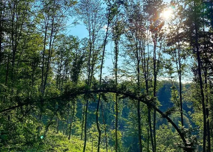 & Domacija Krnc Konukevi Hrib pri Hinjah