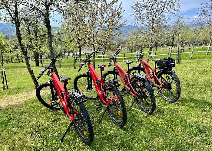 & Domacija Krnc Konukevi Hrib pri Hinjah