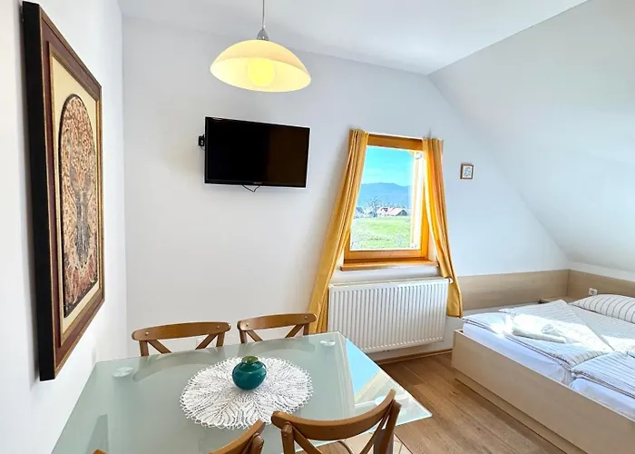 Pensjonat & Domacija Krnc Hrib pri Hinjah