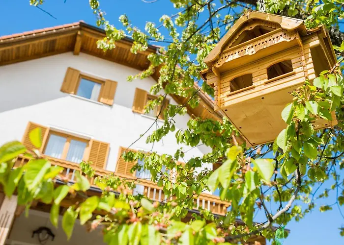 & Domacija Krnc Konukevi